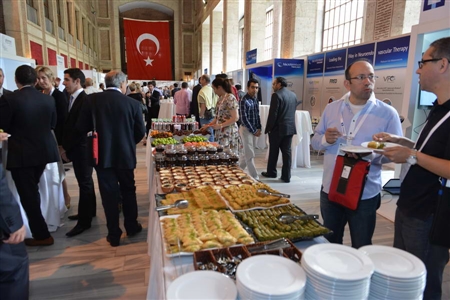 WLNC 2013 Istanbul