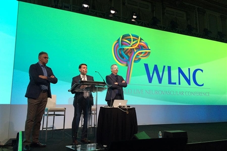 WLNC 2015 Chicago
